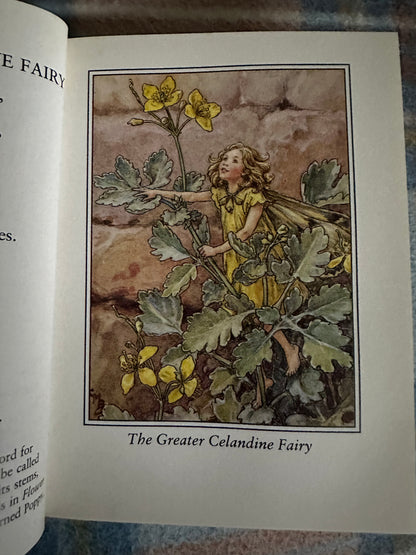 1990 Flower Fairies Of The Wayside - Cicely Mary Barker(Frederick Warne & Co Ltd