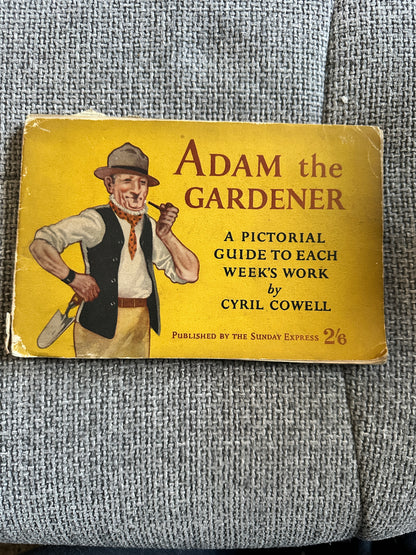 1946 Adam The Gardener - Cyril Cowell(The Sunday Express)