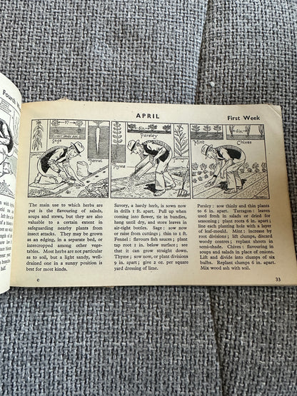 1946 Adam The Gardener - Cyril Cowell(The Sunday Express)