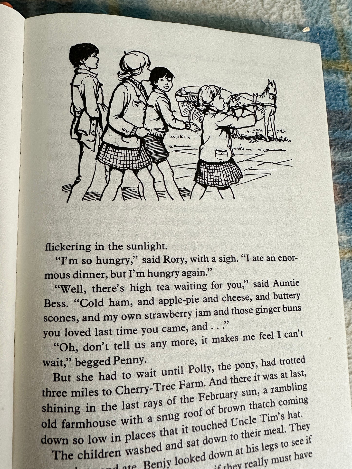 1972 The Children Of Cherry Tree Farm - Enid Blyton(Dean & Son)