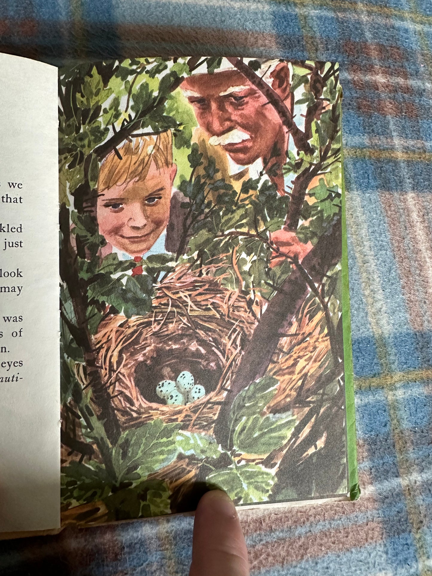 1962 Uncle Ben’s Woodland Friends(Jack & Jill Book 9)Fleetway