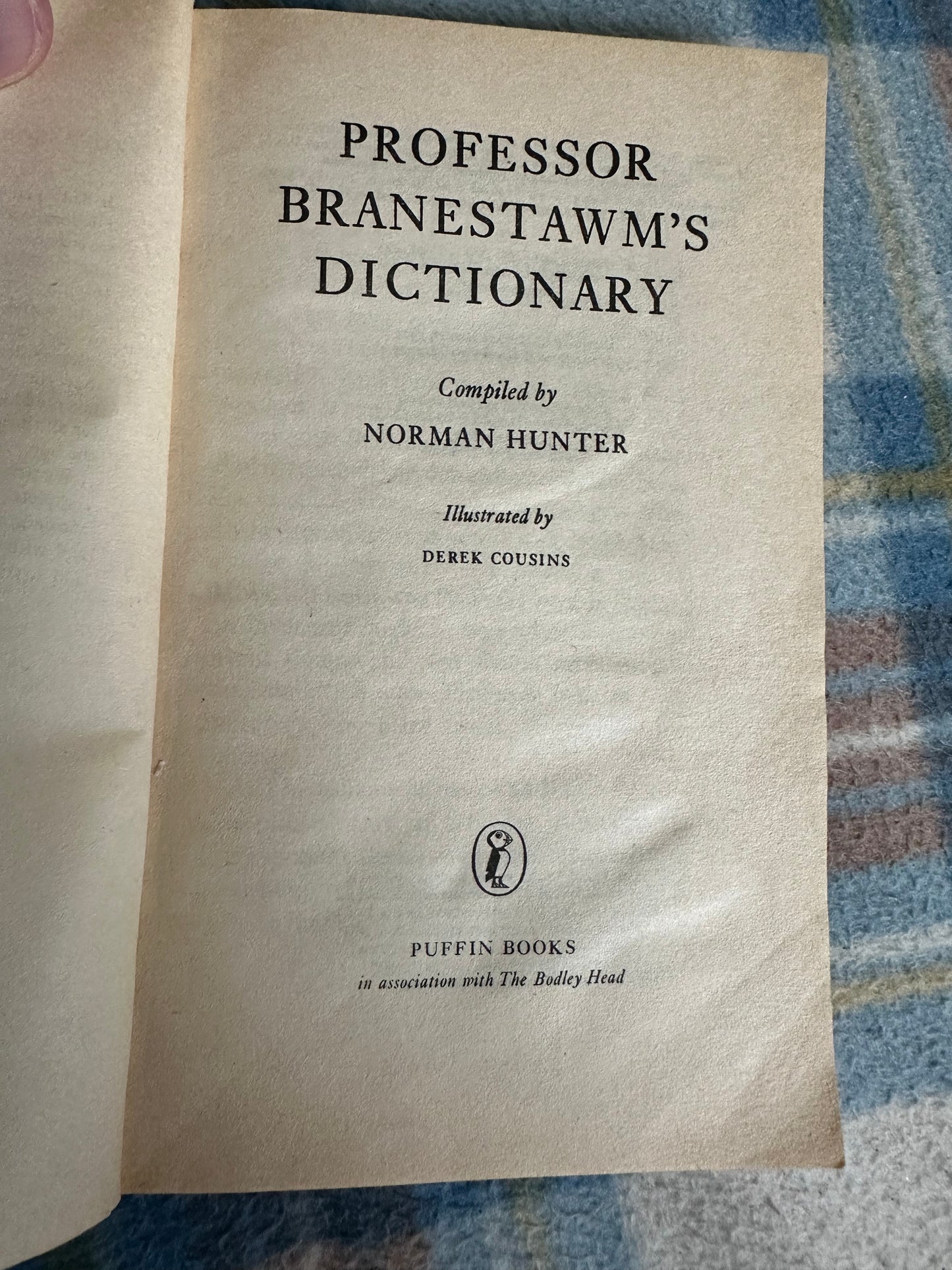 1975 Professor Branestown’s Dictionary - Norman Hunter(Illust Derek Cousins) Puffin