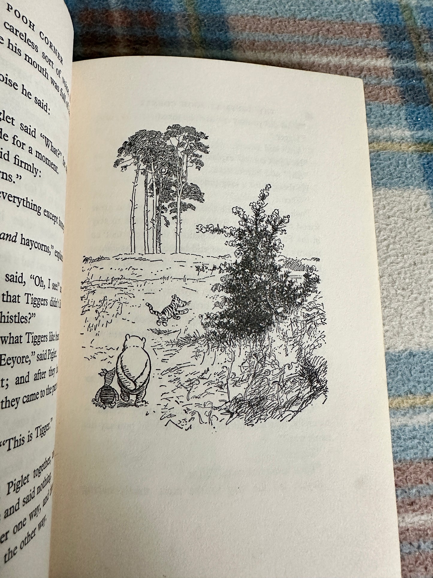 1970 The House At Pooh Corner - A. A. Milne(Ernest H. Shepard illustration) Methuen & Co Ltd