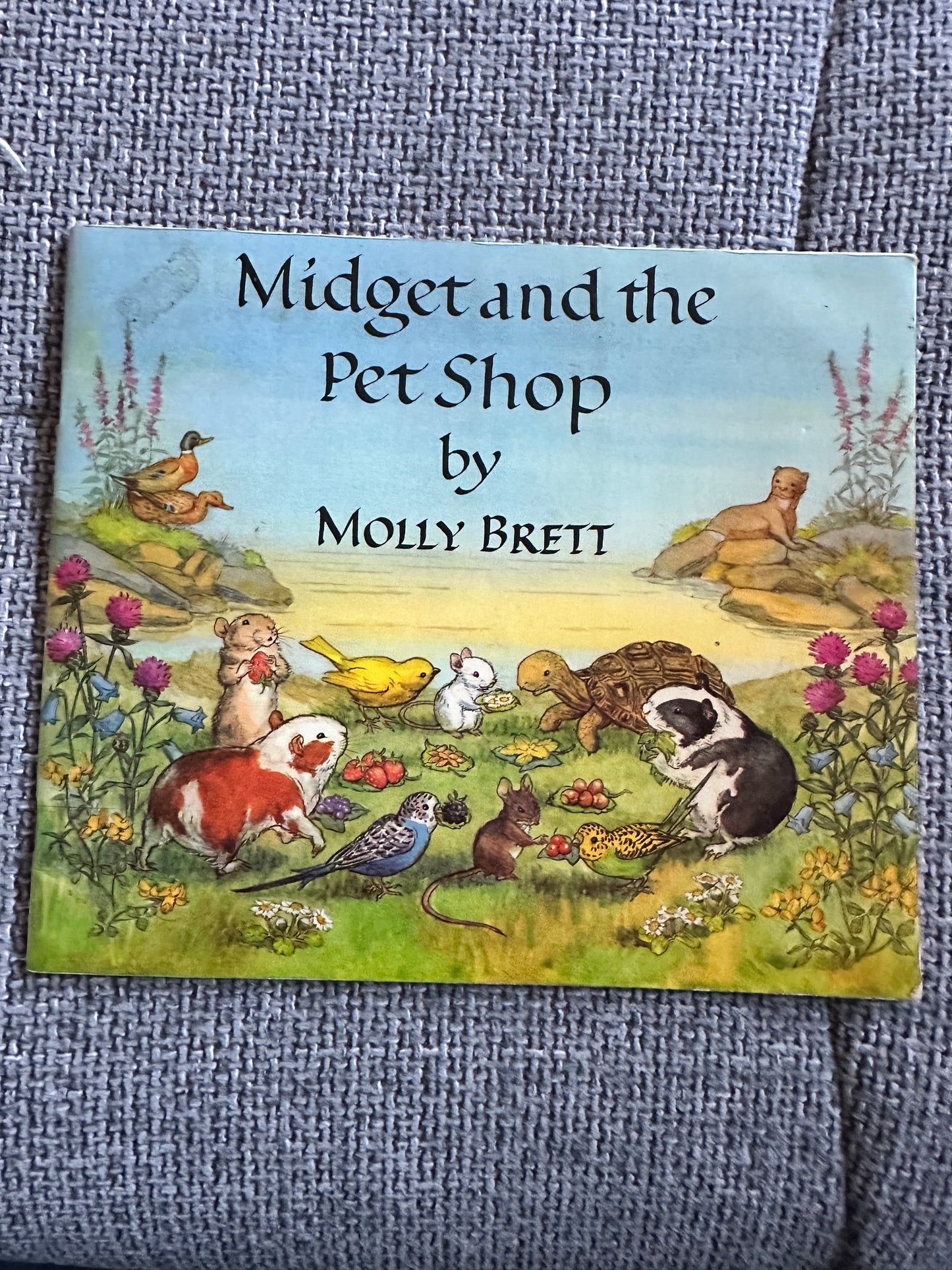 1975 Midget & The Pet Shop - Molly Brett(The Medici Society)