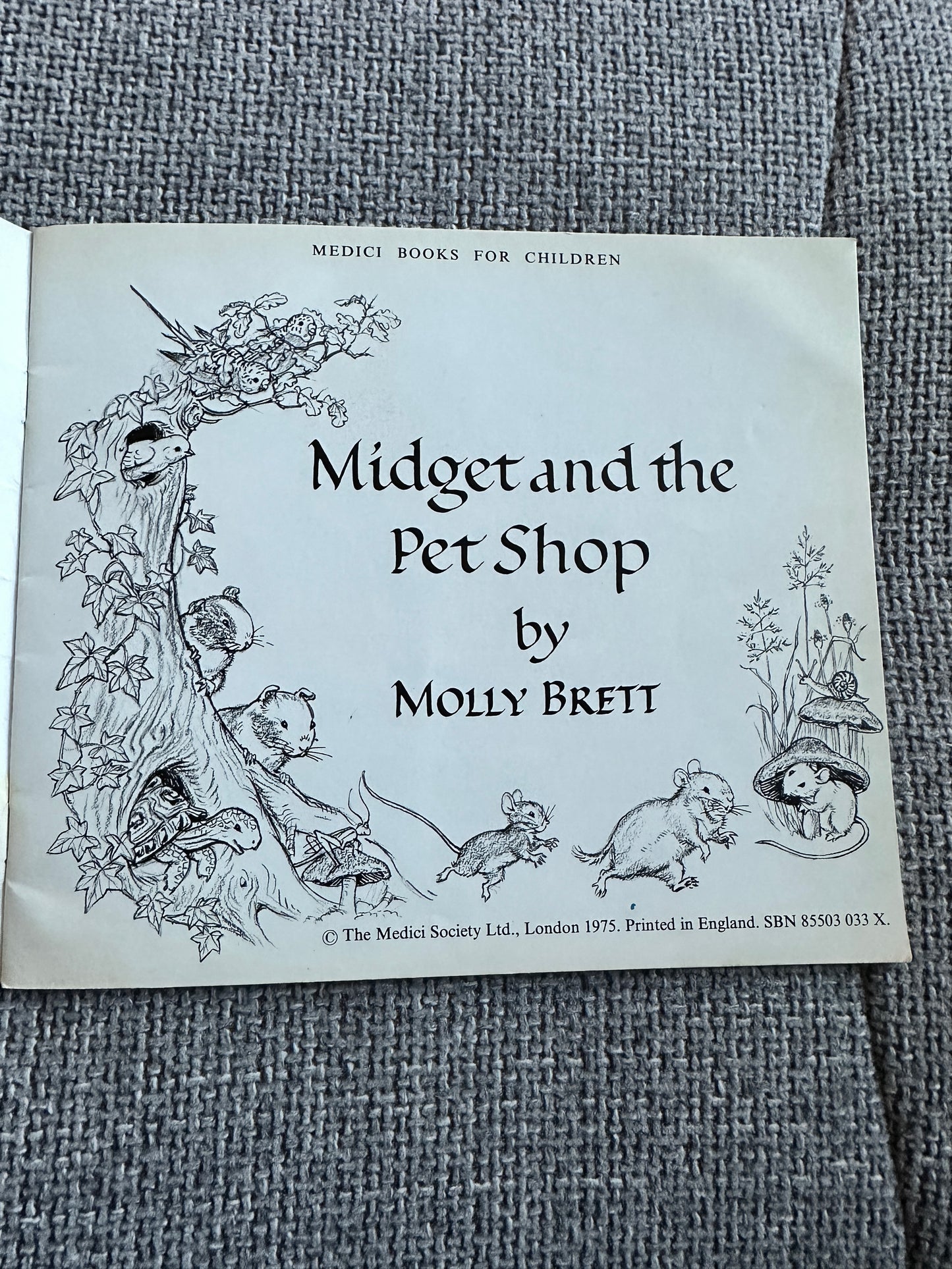 1975 Midget & The Pet Shop - Molly Brett(The Medici Society)