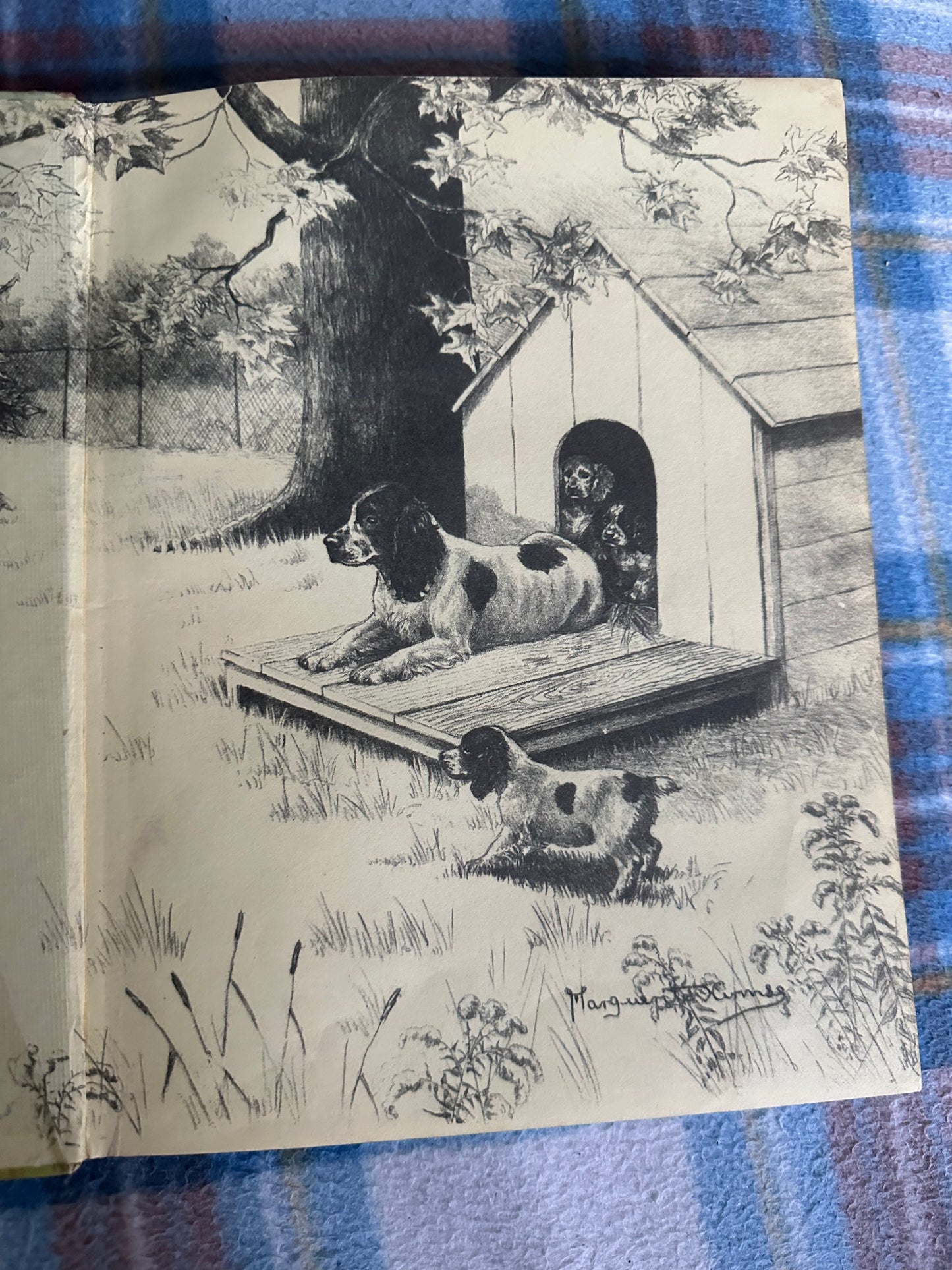 1957 Scampy The Little Black Cocker - Dorothy K. L’Hommedieu(Illust Marguerite Kirmse (Robert Hale Ltd)