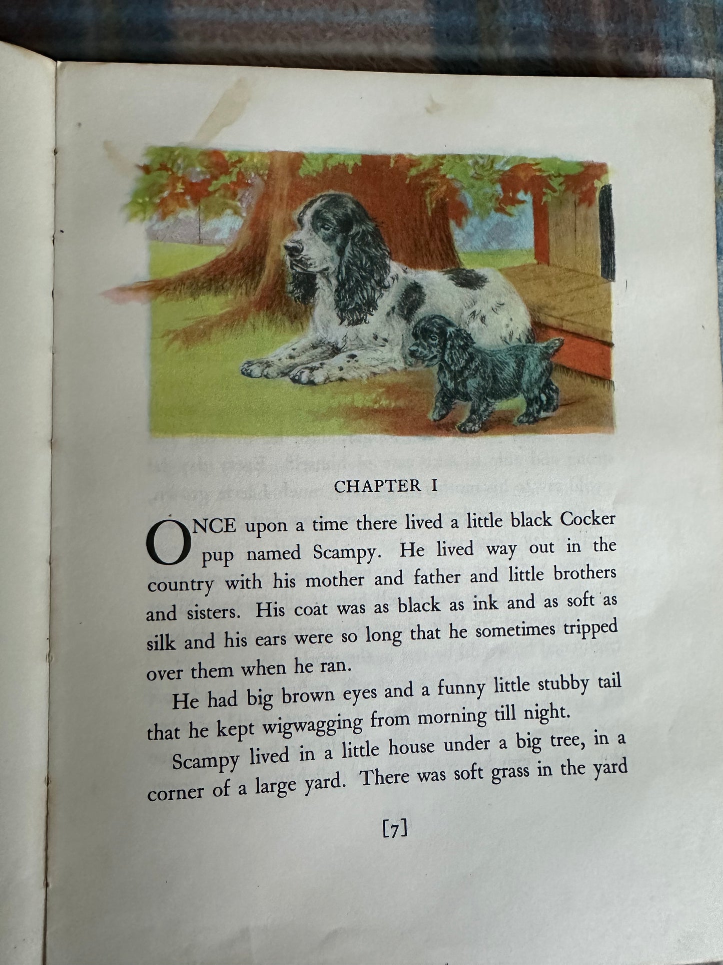 1957 Scampy The Little Black Cocker - Dorothy K. L’Hommedieu(Illust Marguerite Kirmse (Robert Hale Ltd)