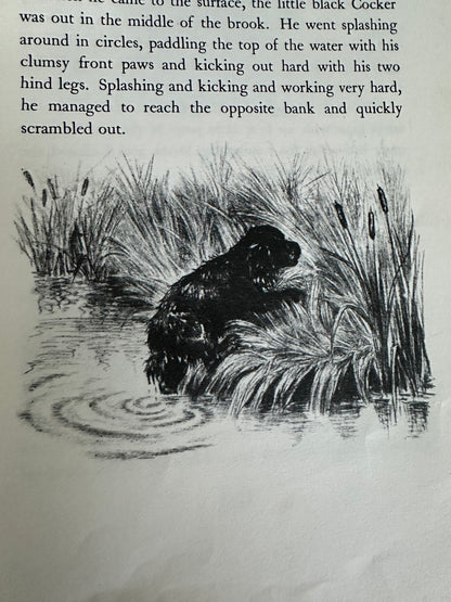 1957 Scampy The Little Black Cocker - Dorothy K. L’Hommedieu(Illust Marguerite Kirmse (Robert Hale Ltd)