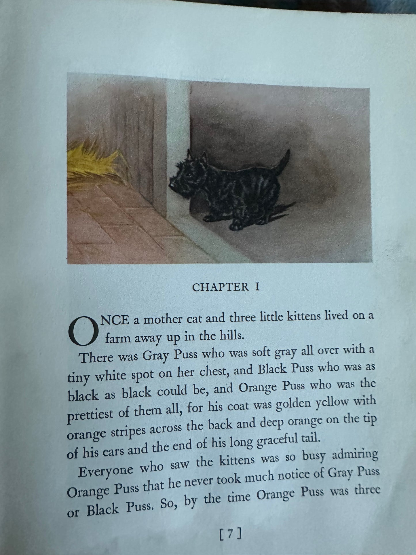 1957*1st* MacGregor The Little Black Scottie - Dorothy K. L’Hommedieu(Marguerite Kirmse illustration) Robert Hale Ltd