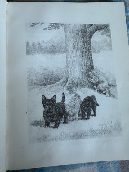 1957*1st* MacGregor The Little Black Scottie - Dorothy K. L’Hommedieu(Marguerite Kirmse illustration) Robert Hale Ltd