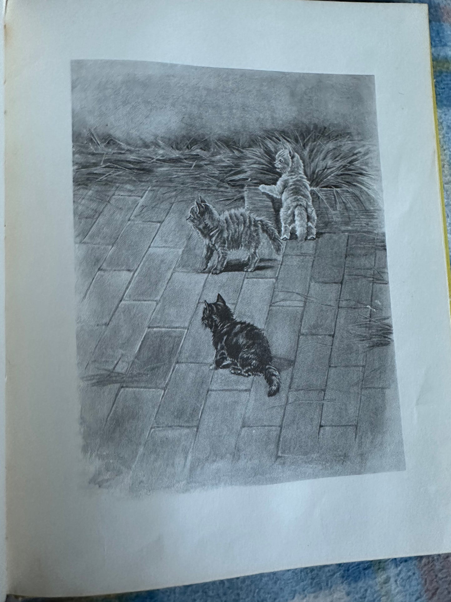 1957*1st* MacGregor The Little Black Scottie - Dorothy K. L’Hommedieu(Marguerite Kirmse illustration) Robert Hale Ltd