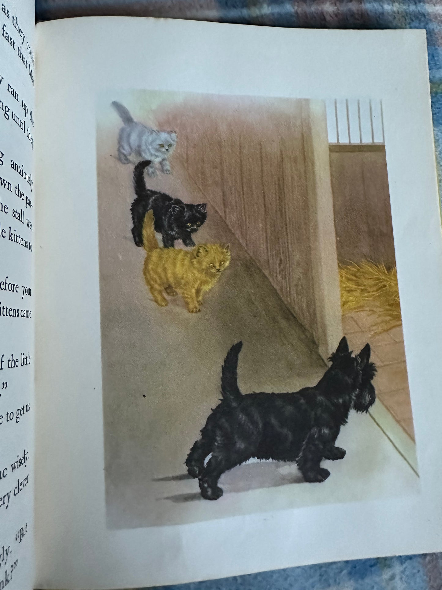 1957*1st* MacGregor The Little Black Scottie - Dorothy K. L’Hommedieu(Marguerite Kirmse illustration) Robert Hale Ltd