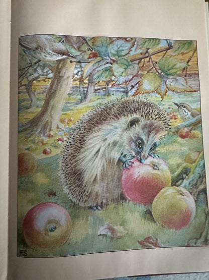 1978*1st* The Hedgehog Feast - Edith Holden(Retold by Rowena Stott her Grand Niece) Michael Joseph/Webb & Bower