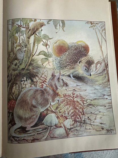 1978*1st* The Hedgehog Feast - Edith Holden(Retold by Rowena Stott her Grand Niece) Michael Joseph/Webb & Bower