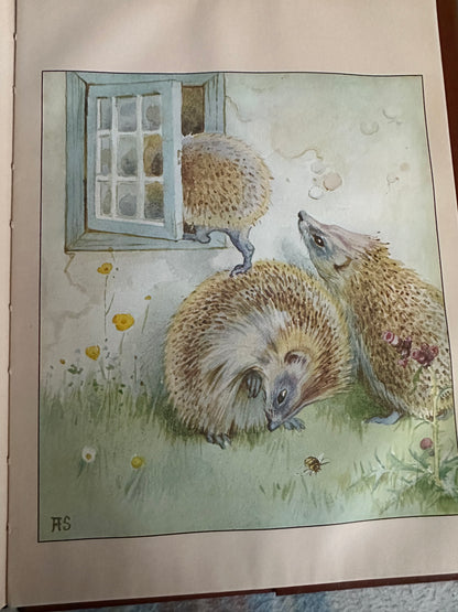 1978*1st* The Hedgehog Feast - Edith Holden(Retold by Rowena Stott her Grand Niece) Michael Joseph/Webb & Bower