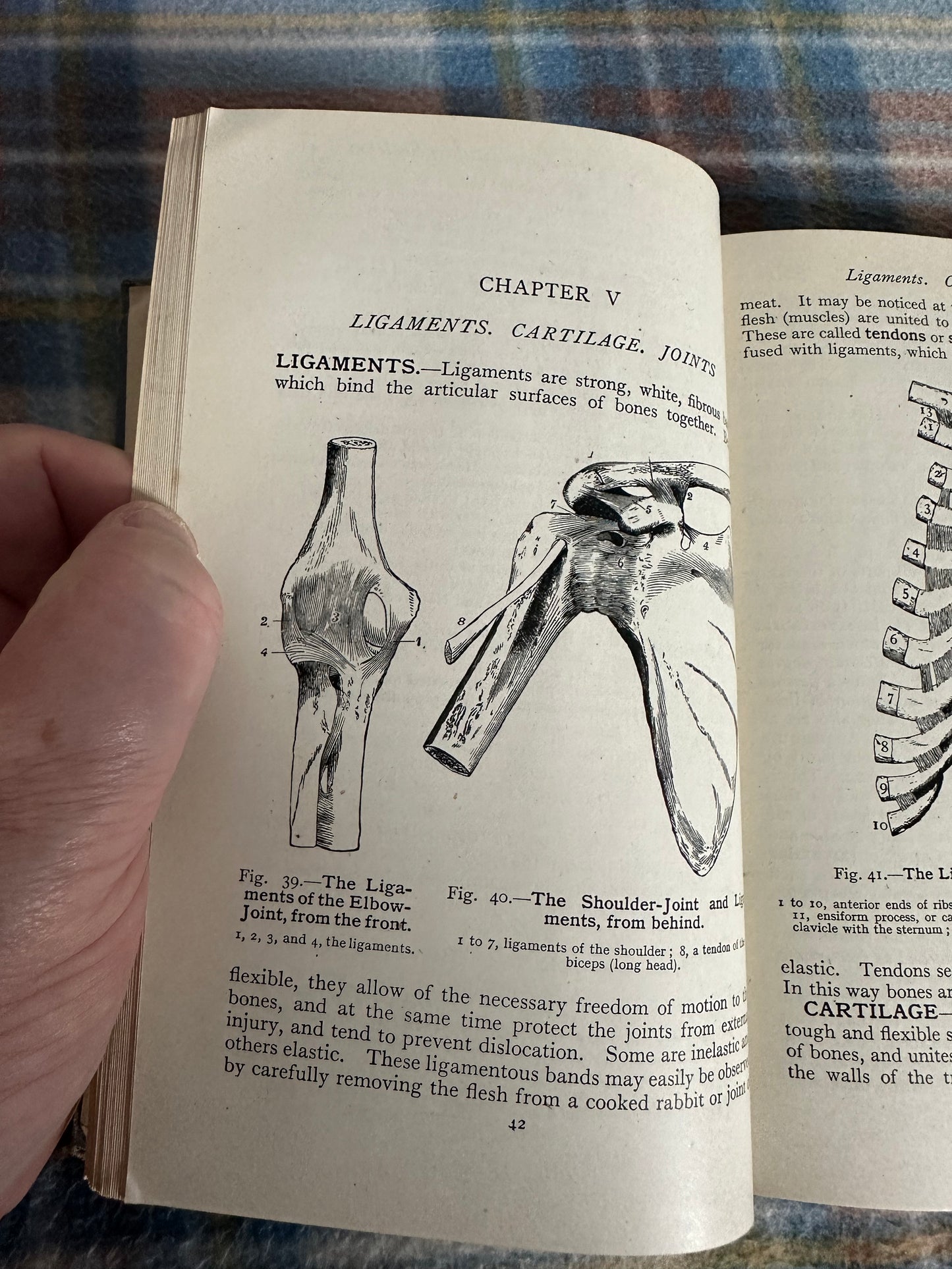 1941 Furneaux’s Human Physiology - W. A. M. Smart (Nurses Edition)Longmans, Green & Co Ltd