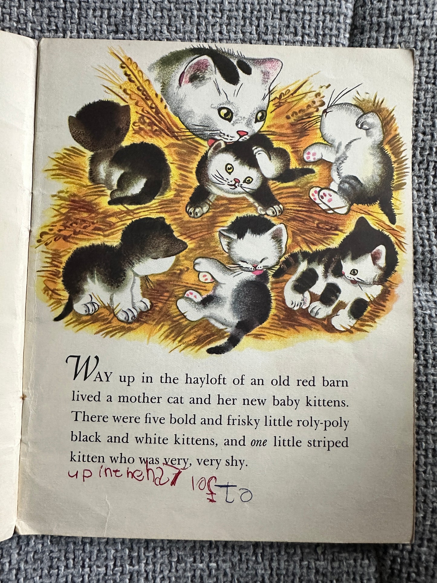 1962 The Shy Little Kitten(Happy Time Series no10) Cathleen Schurr (Gustaf Tenggren Illust)Golden Pleasure Books