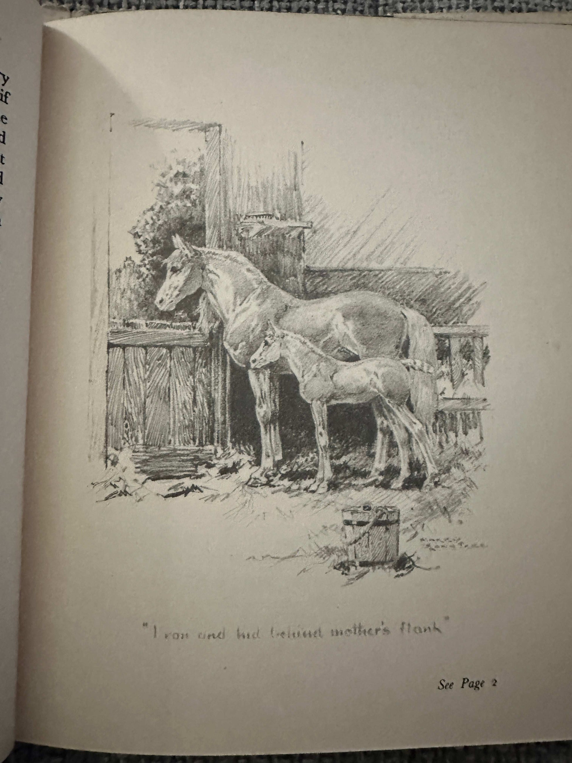 1949 Misty The Grey Pony - Joyce M. Lennon (Harry Rountree Illust) Country Life