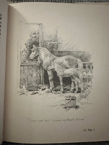 1949 Misty The Grey Pony - Joyce M. Lennon (Harry Rountree Illust) Country Life