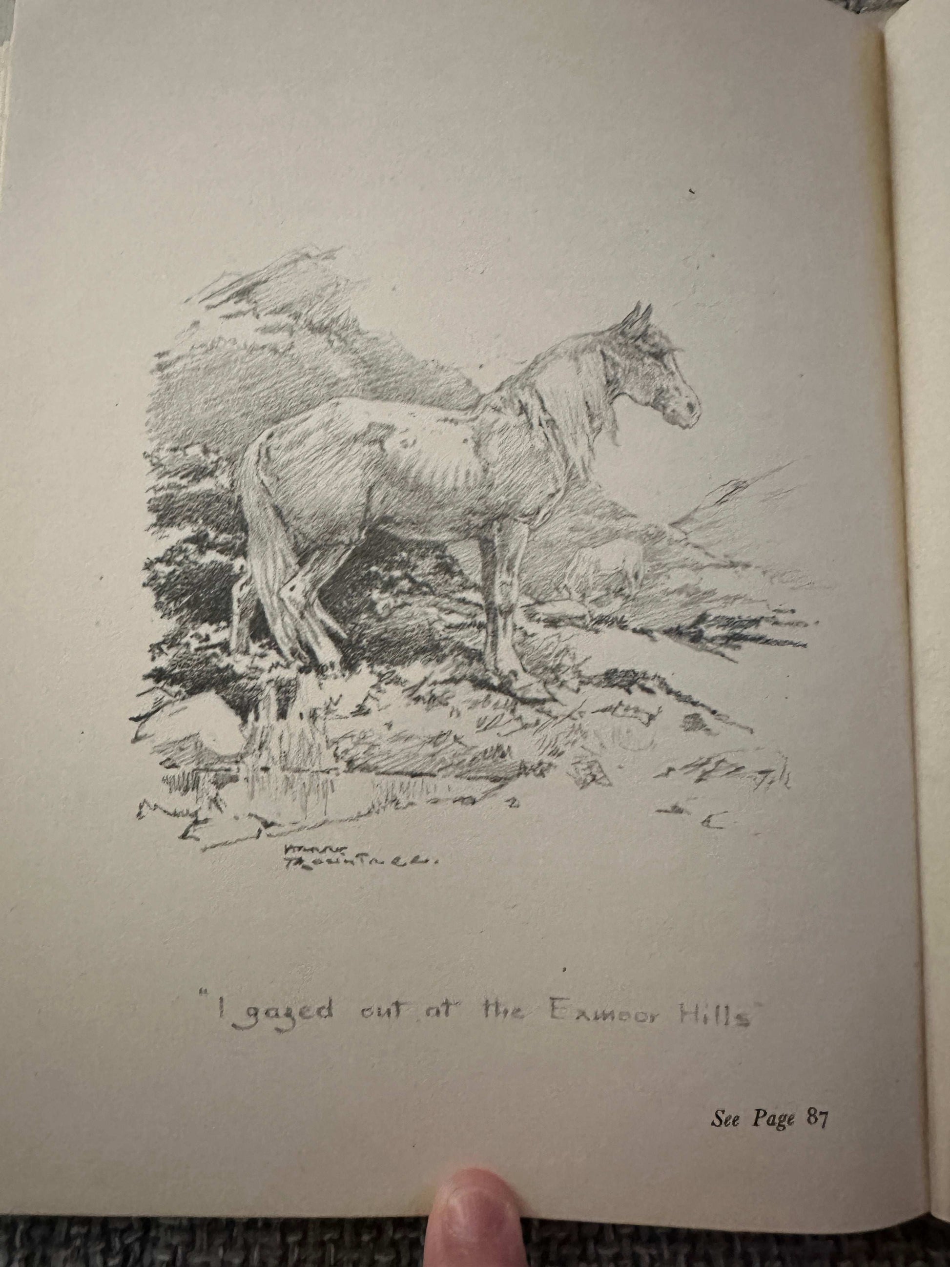 1949 Misty The Grey Pony - Joyce M. Lennon (Harry Rountree Illust) Country Life