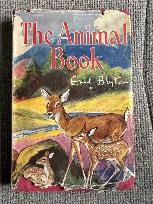 1927 The Animal Book - Enid Blyton (Ernest Aris cover, Kathleen Nixon illustrated interior) George Newnes Ltd