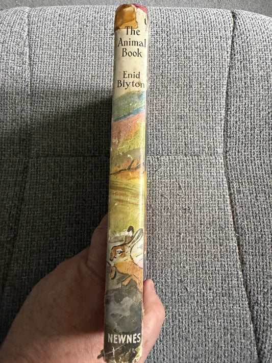 1927 The Animal Book - Enid Blyton (Ernest Aris cover, Kathleen Nixon illustrated interior) George Newnes Ltd