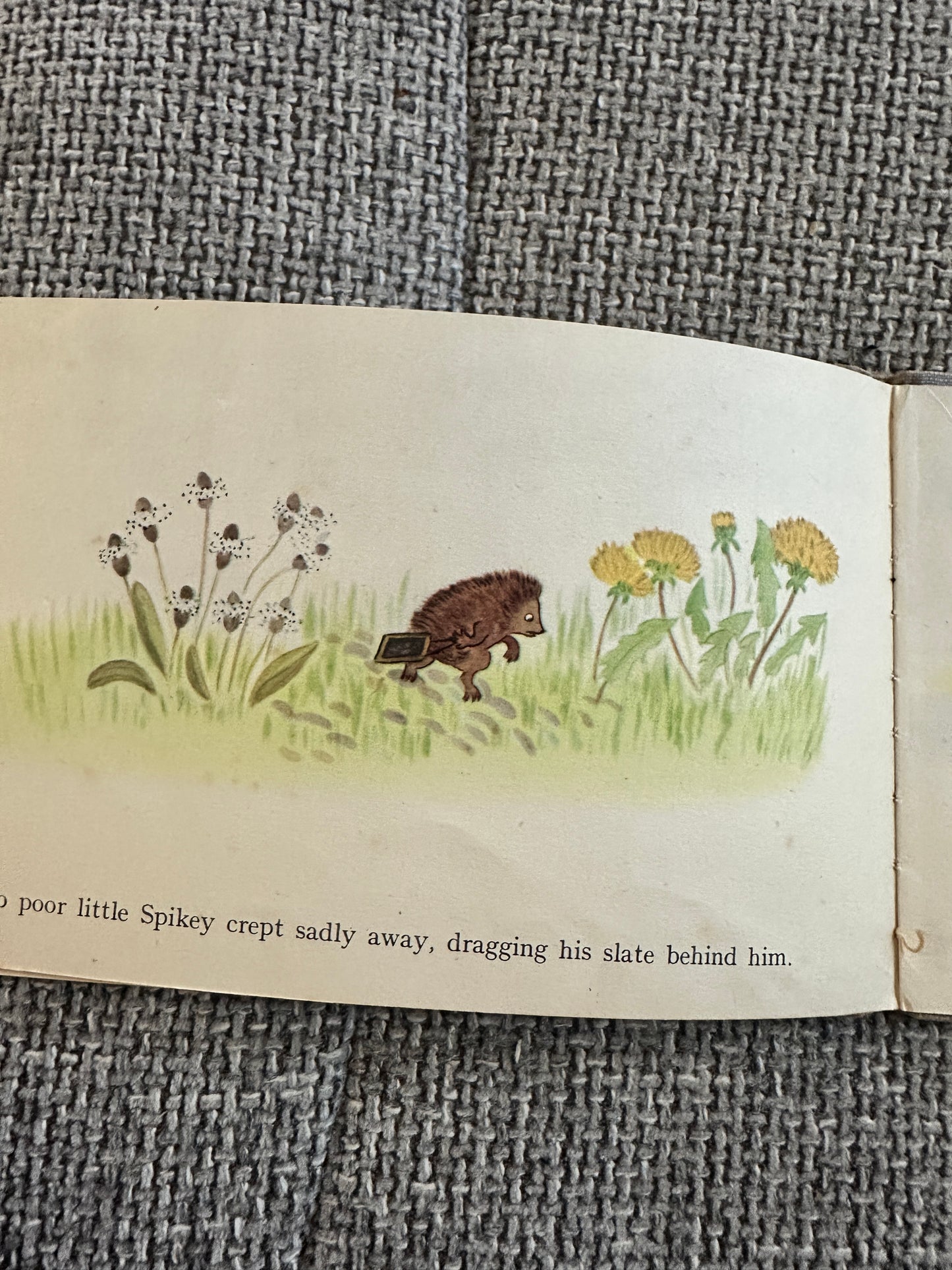 1945 Spikey’s Schoolday - Grace Couch(William Lewis Printers)