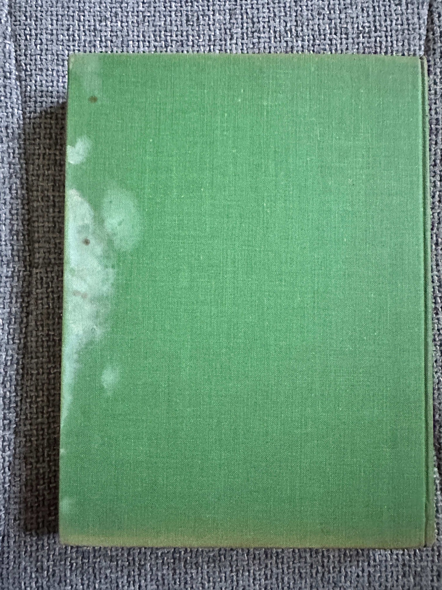 1935 The Green Goblin Book Enid Blyton First Edition