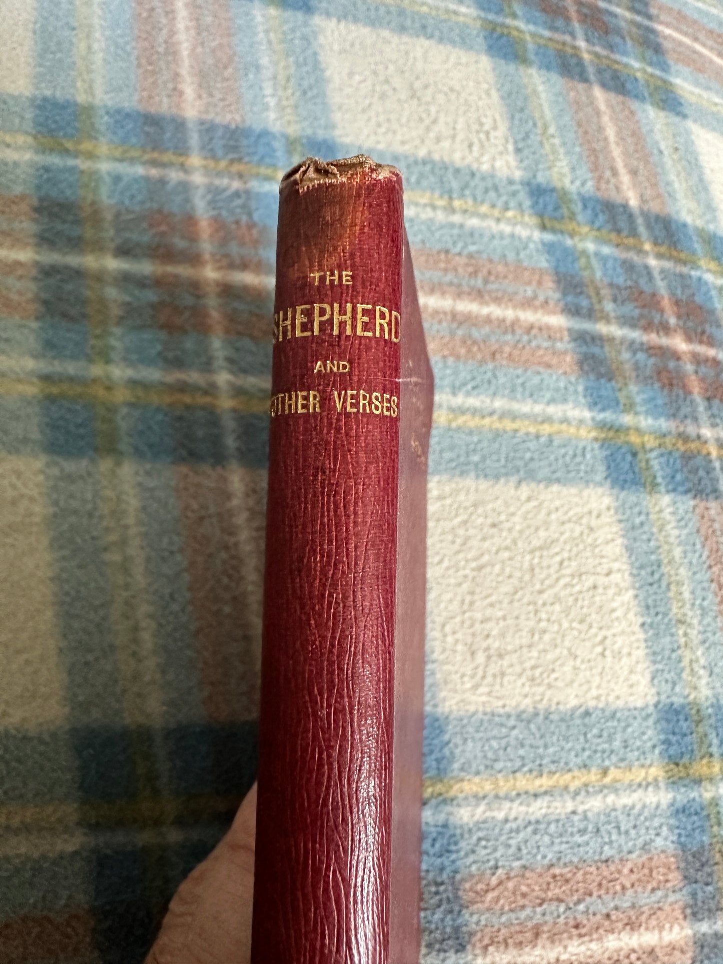 1897 The Shepherd & Other Verses - Janet Wyld Pitcairn(Oliphant, Anderson & Ferrier)