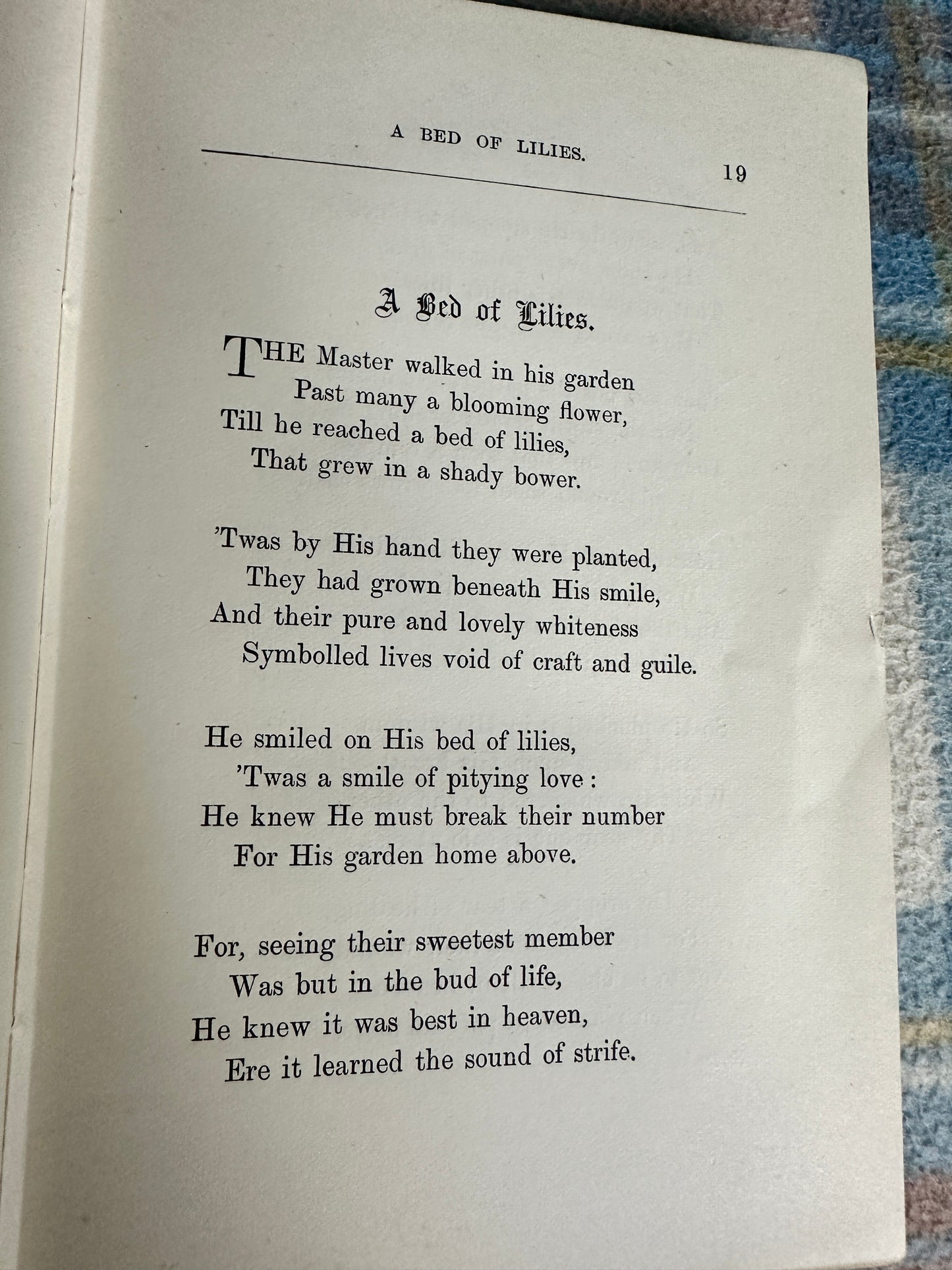 1897 The Shepherd & Other Verses - Janet Wyld Pitcairn(Oliphant, Anderson & Ferrier)