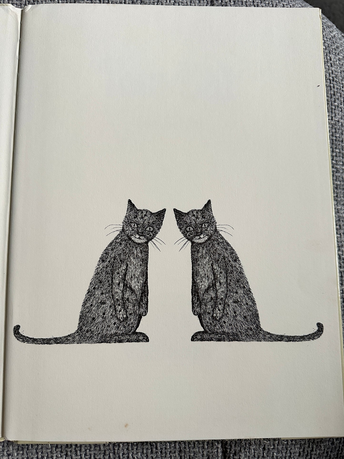 1977 Tom Cat - Written & Illustrated Susie Bohdal (Ernest Benn Ltd) - Honeyburn Books (UK)