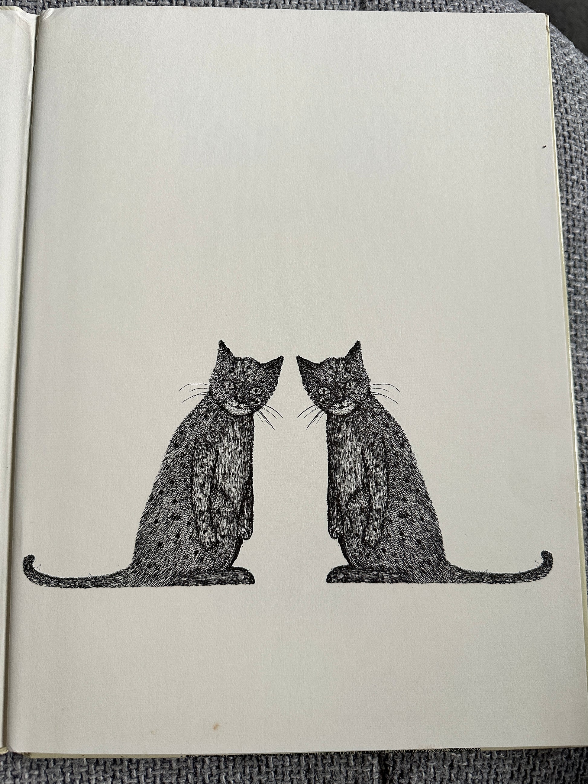 1977 Tom Cat - Written & Illustrated Susie Bohdal (Ernest Benn Ltd) - Honeyburn Books (UK)
