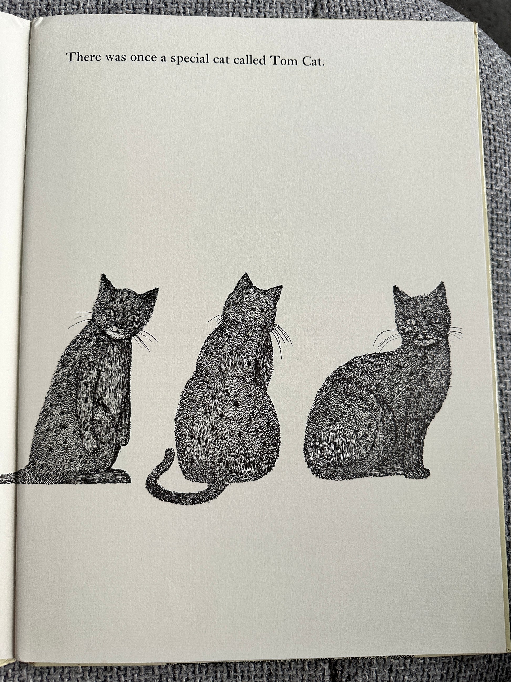 1977 Tom Cat - Written & Illustrated Susie Bohdal (Ernest Benn Ltd) - Honeyburn Books (UK)