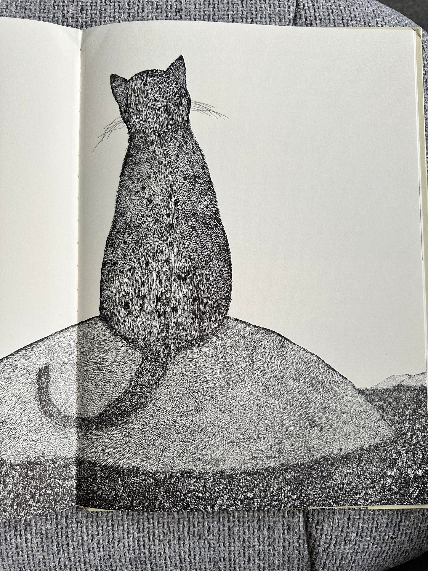 1977 Tom Cat - Written & Illustrated Susie Bohdal (Ernest Benn Ltd) - Honeyburn Books (UK)