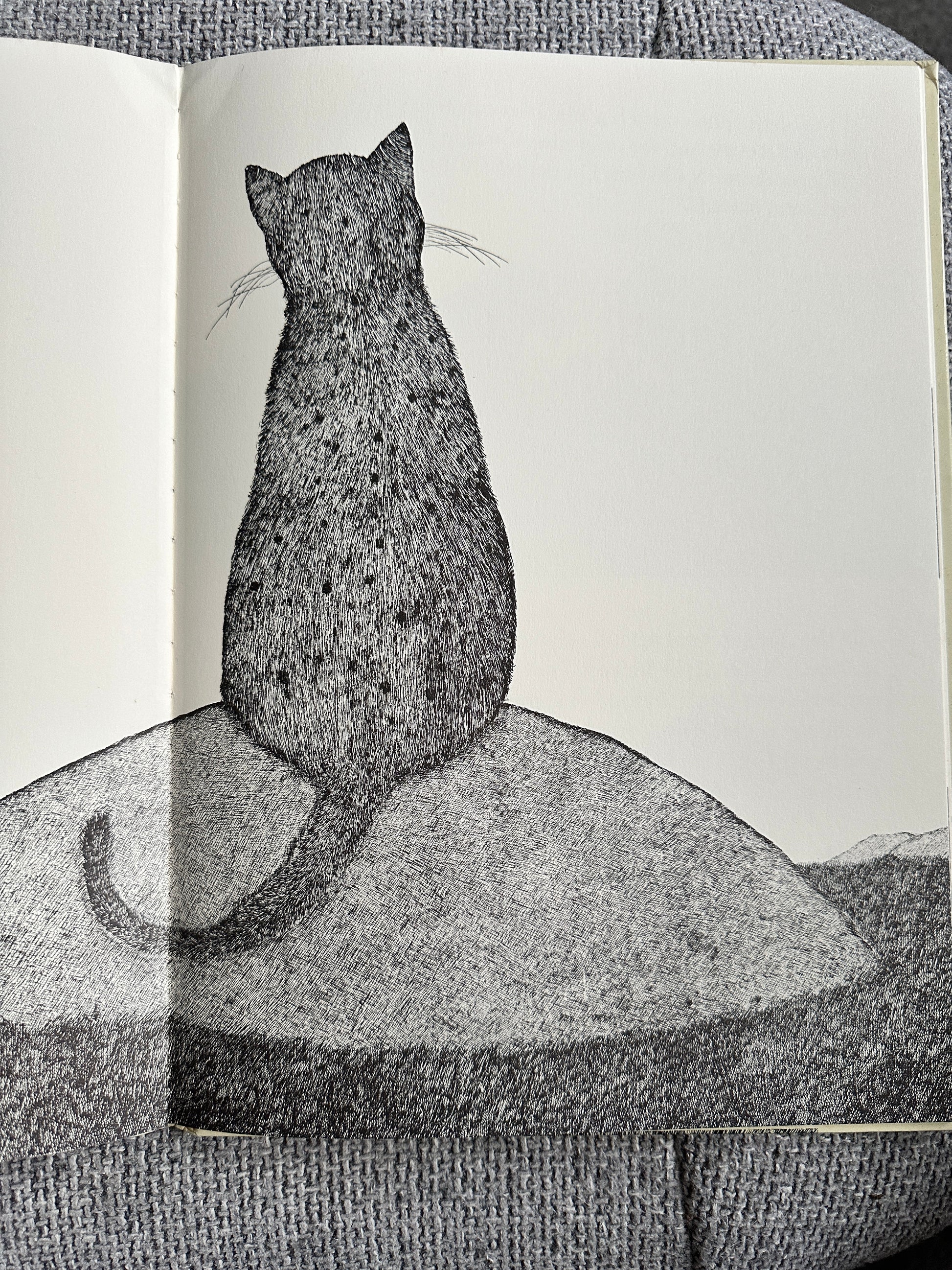 1977 Tom Cat - Written & Illustrated Susie Bohdal (Ernest Benn Ltd) - Honeyburn Books (UK)