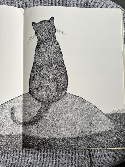 1977 Tom Cat - Written & Illustrated Susie Bohdal (Ernest Benn Ltd) - Honeyburn Books (UK)