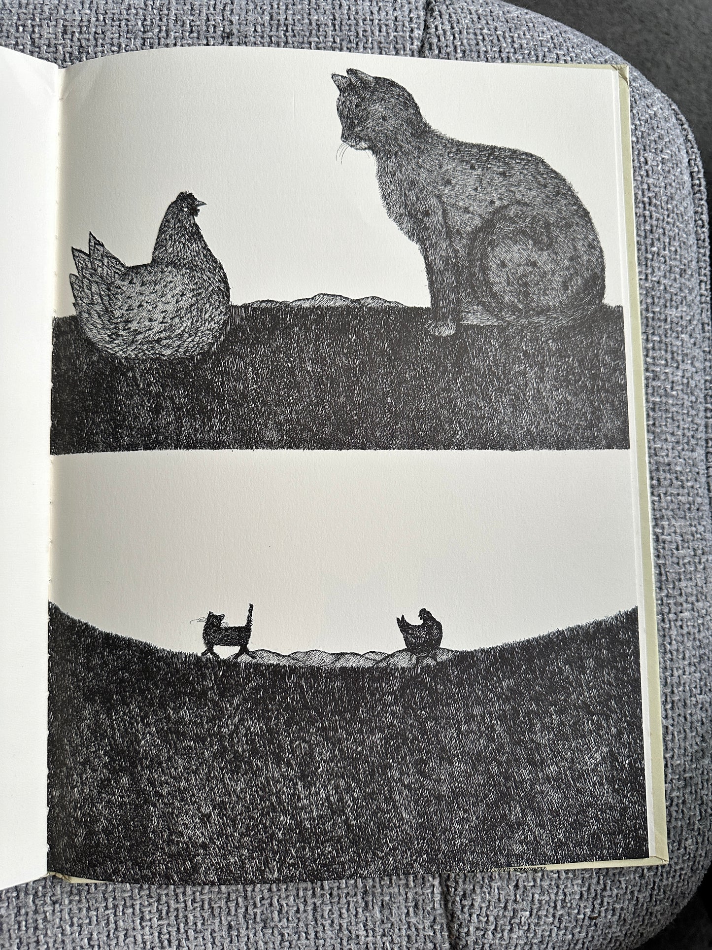 1977 Tom Cat - Written & Illustrated Susie Bohdal (Ernest Benn Ltd) - Honeyburn Books (UK)