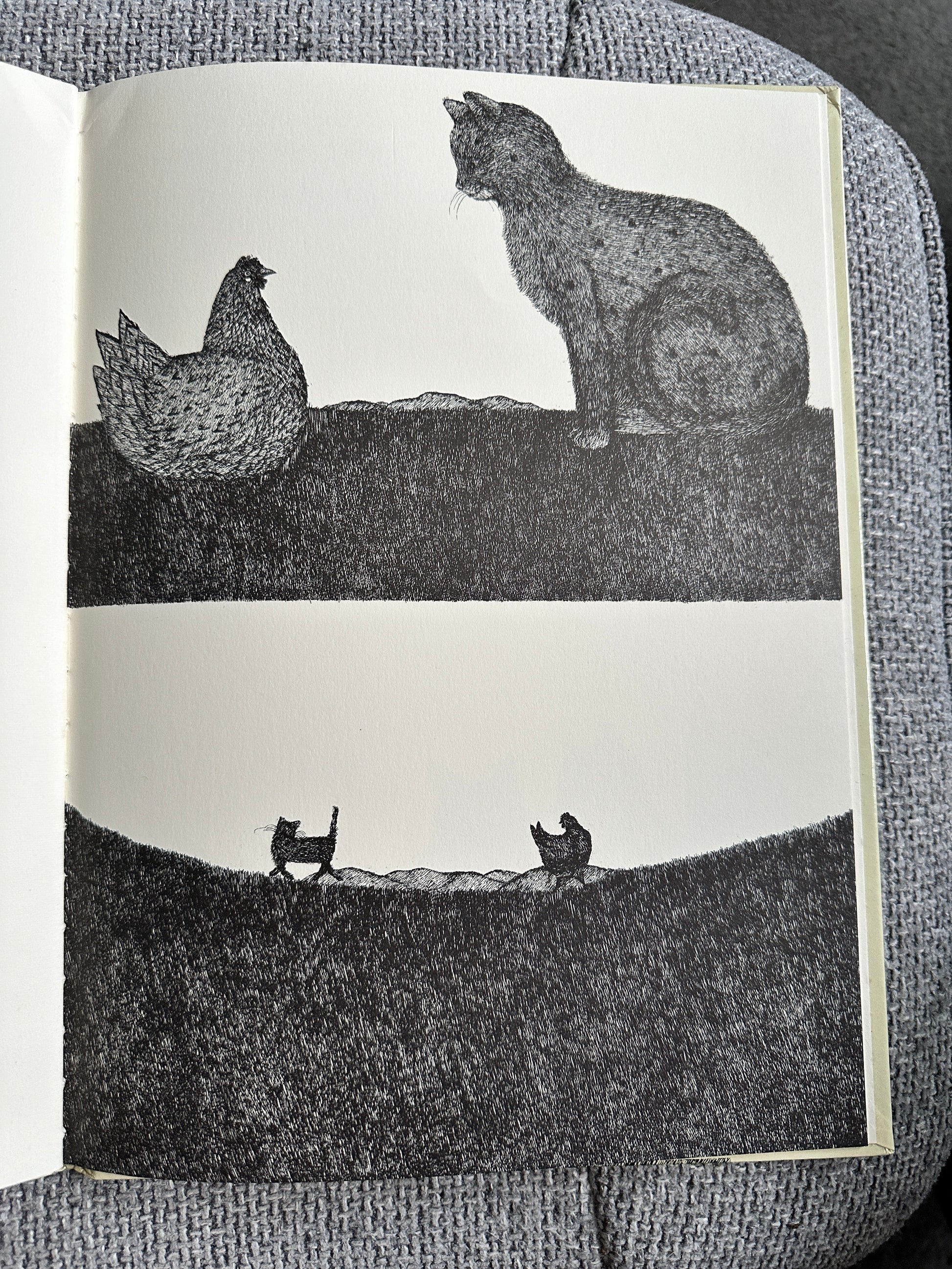 1977 Tom Cat - Written & Illustrated Susie Bohdal (Ernest Benn Ltd) - Honeyburn Books (UK)