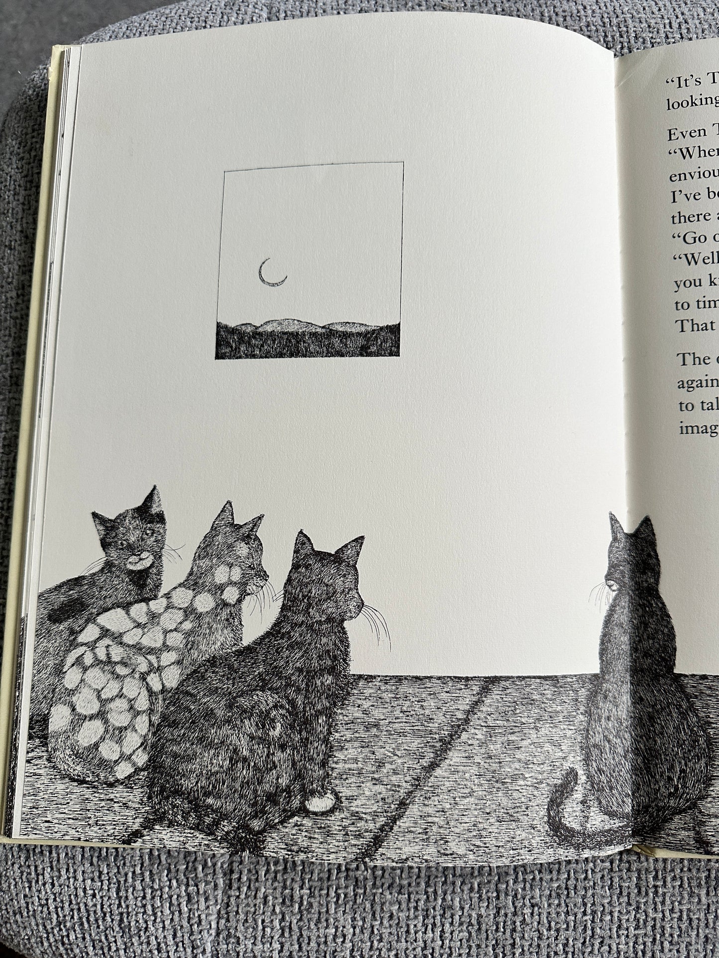 1977 Tom Cat - Written & Illustrated Susie Bohdal (Ernest Benn Ltd) - Honeyburn Books (UK)