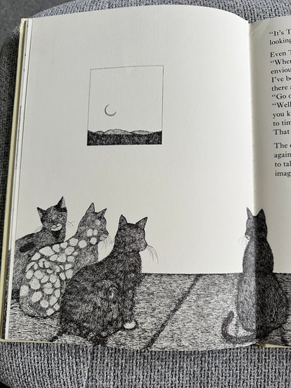 1977 Tom Cat - Written & Illustrated Susie Bohdal (Ernest Benn Ltd) - Honeyburn Books (UK)