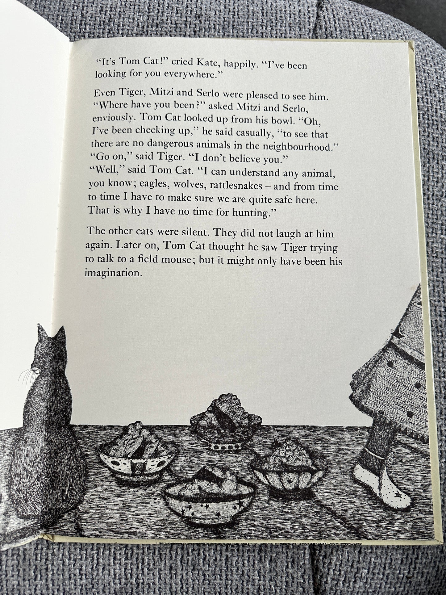 1977 Tom Cat - Written & Illustrated Susie Bohdal (Ernest Benn Ltd) - Honeyburn Books (UK)