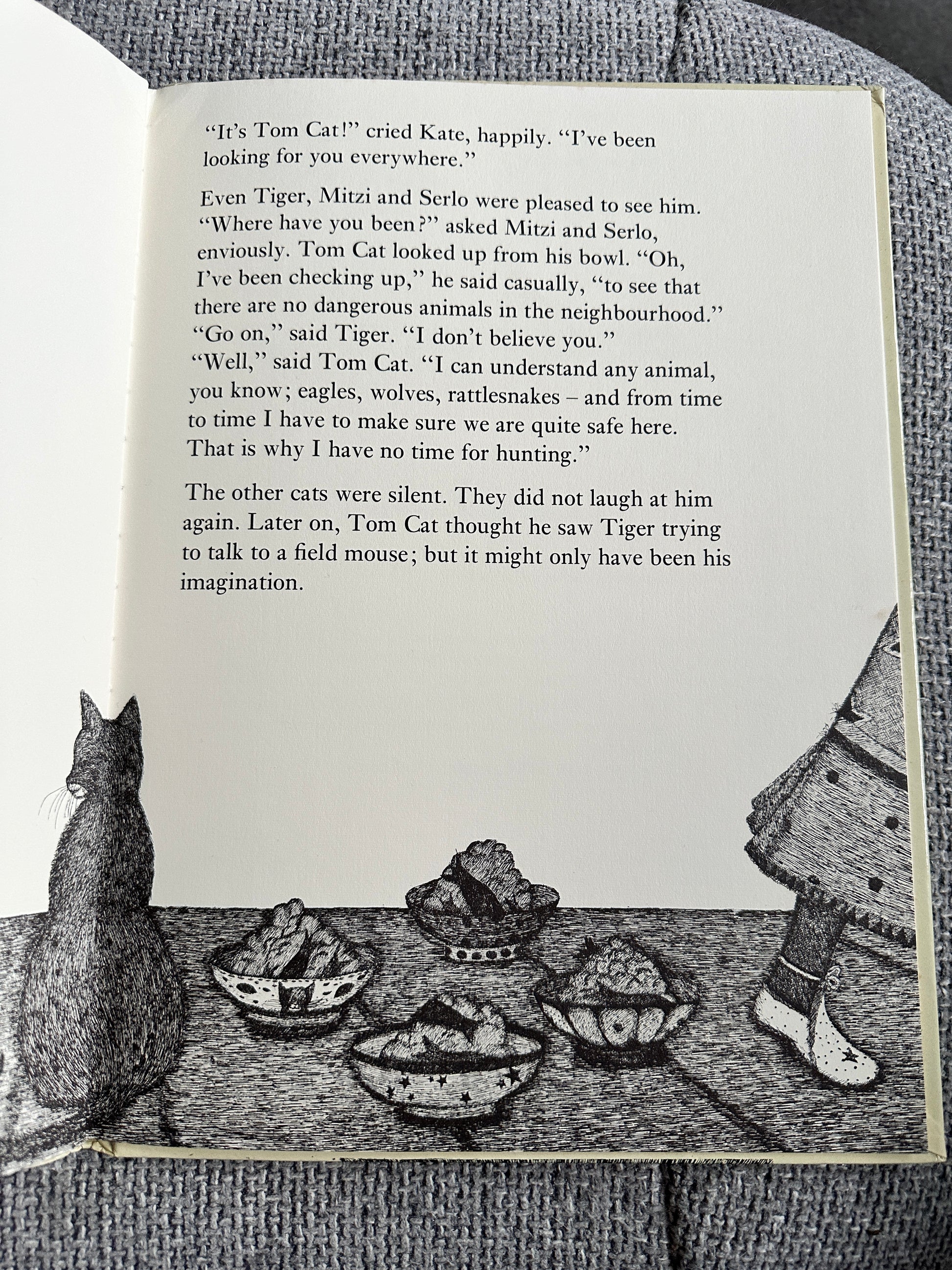 1977 Tom Cat - Written & Illustrated Susie Bohdal (Ernest Benn Ltd) - Honeyburn Books (UK)