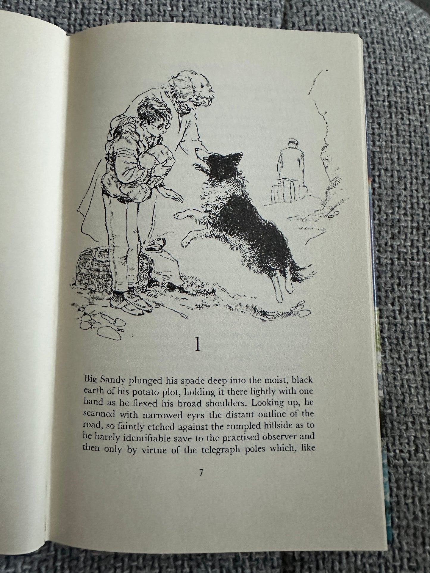 1984*1st* A Shine Of Rainbows - Lillian Beckwith (Hutchinson) - Honeyburn Books (UK)