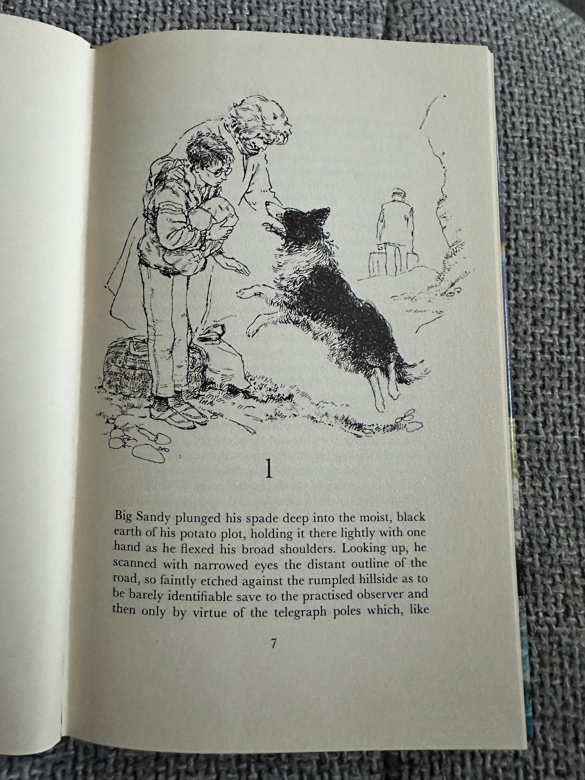 1984*1st* A Shine Of Rainbows - Lillian Beckwith (Hutchinson) - Honeyburn Books (UK)