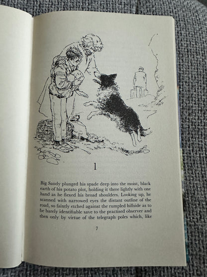1984*1st* A Shine Of Rainbows - Lillian Beckwith (Hutchinson) - Honeyburn Books (UK)