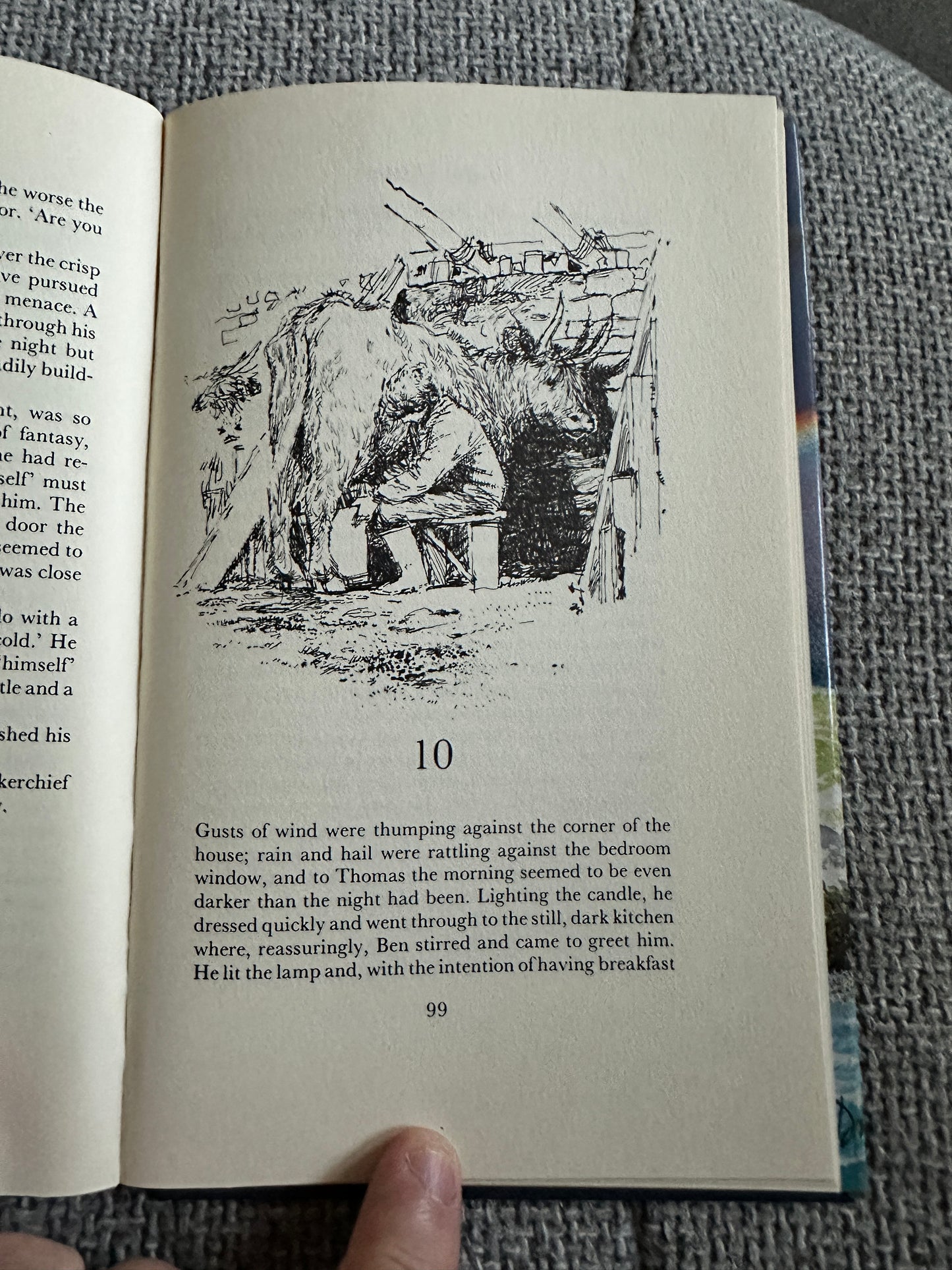 1984*1st* A Shine Of Rainbows - Lillian Beckwith (Hutchinson) - Honeyburn Books (UK)