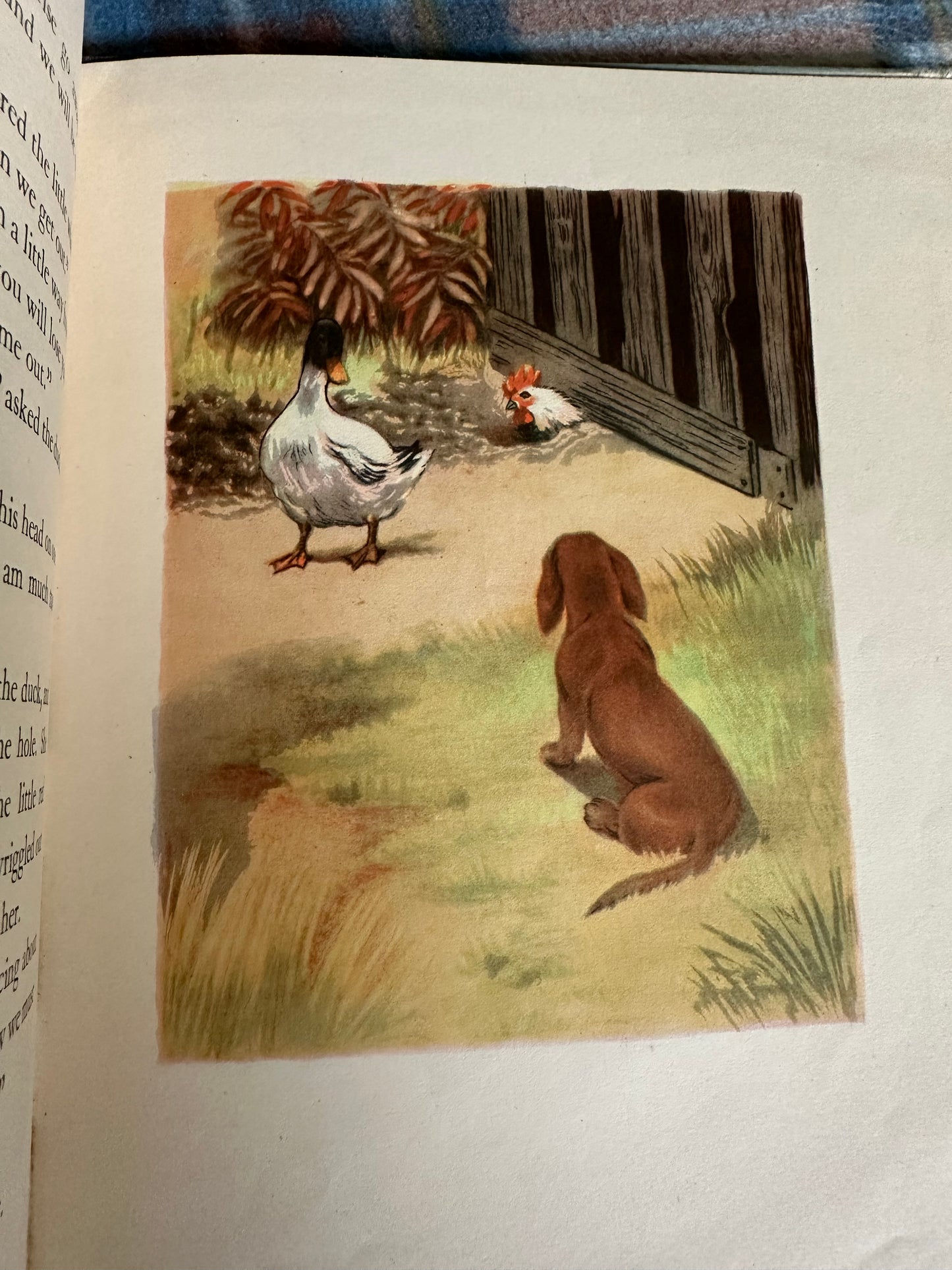 1949 Rusty The Little Red Dachshund - Dorothy L’Hommedieu(Marguerite Kirmse illustration)Robert Hale Ltd