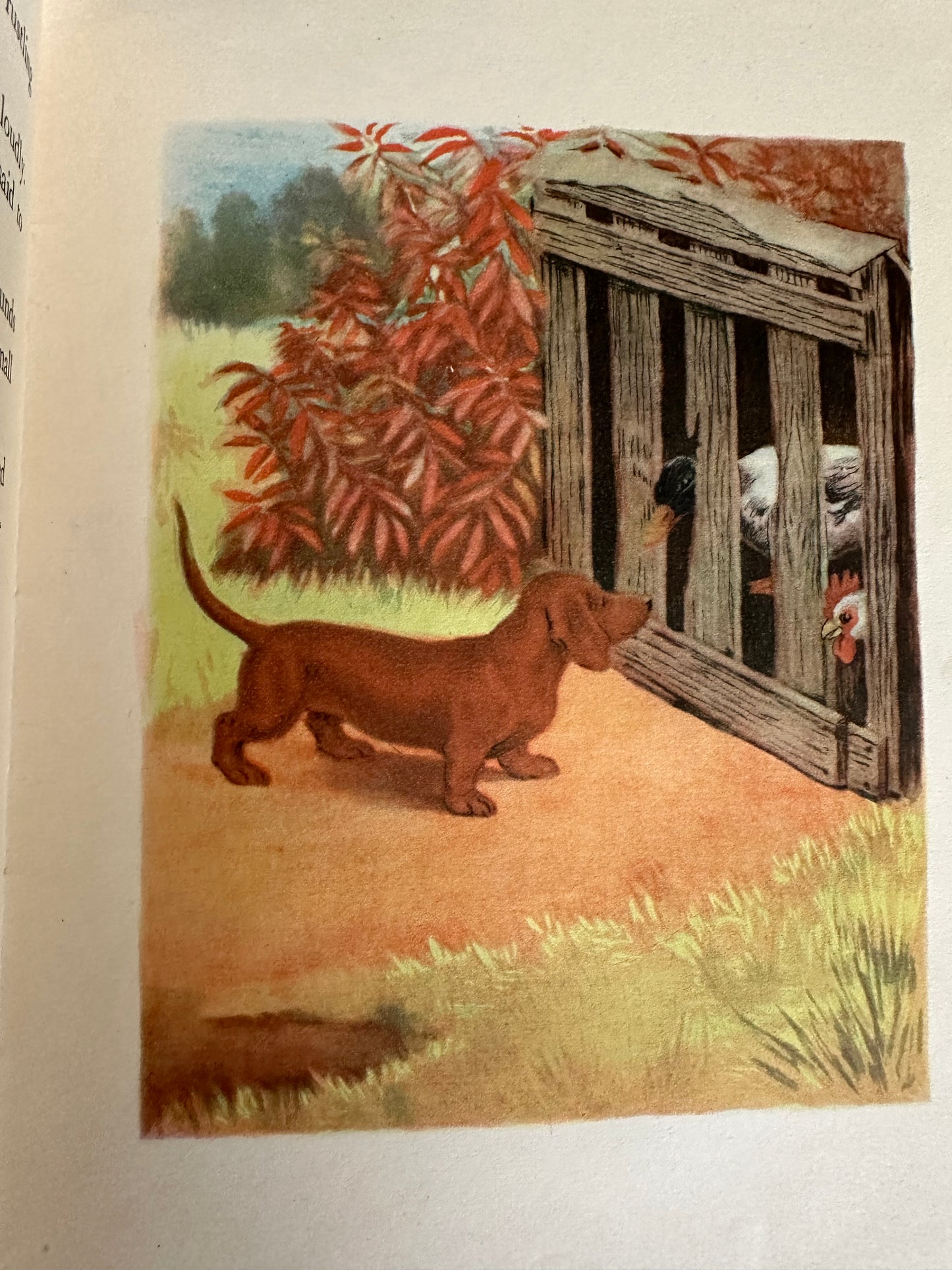 1949 Rusty The Little Red Dachshund - Dorothy L’Hommedieu(Marguerite Kirmse illustration)Robert Hale Ltd