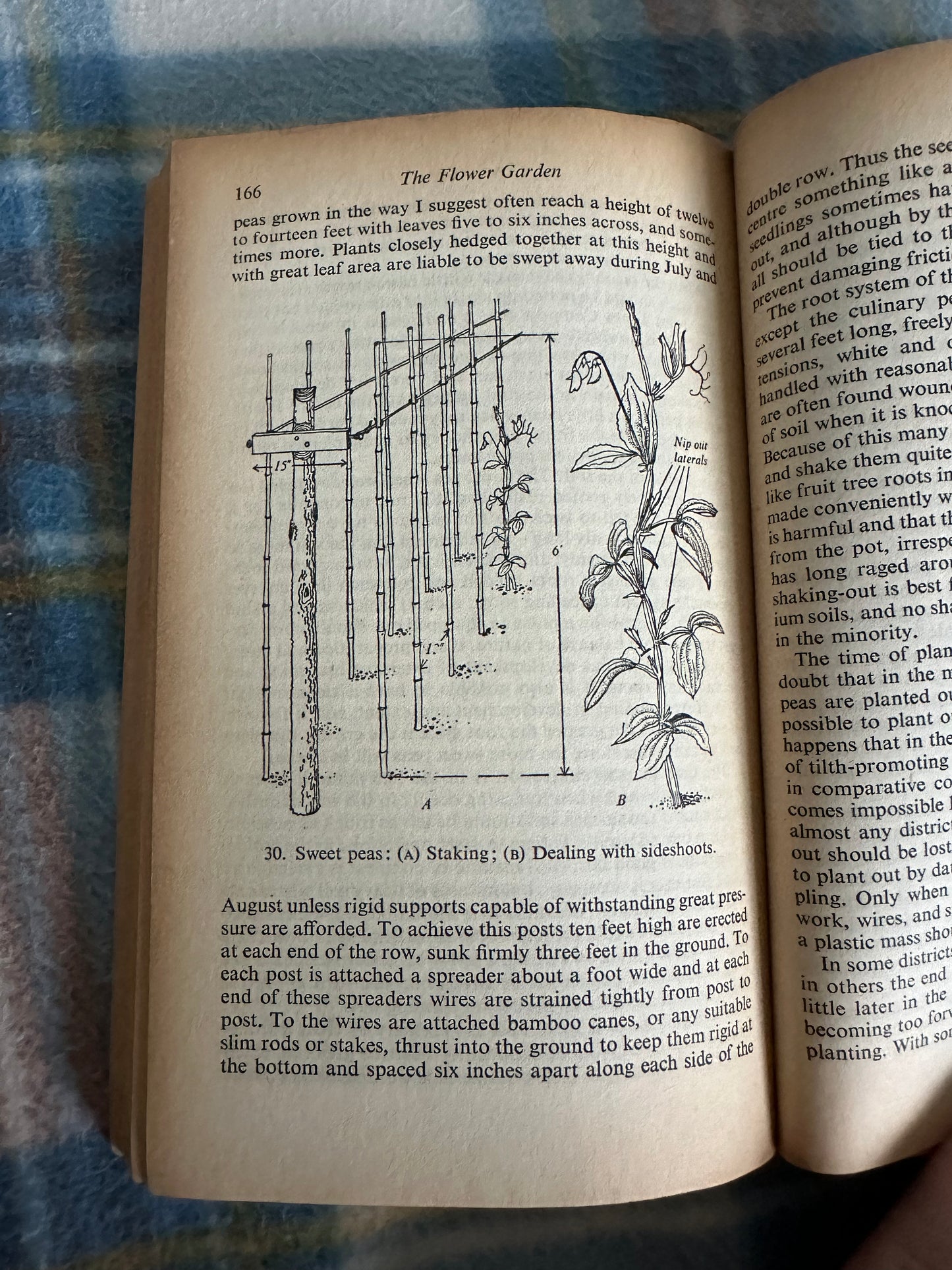 1953 The Flower Garden -E.R.Janes(Penguin Handbook)