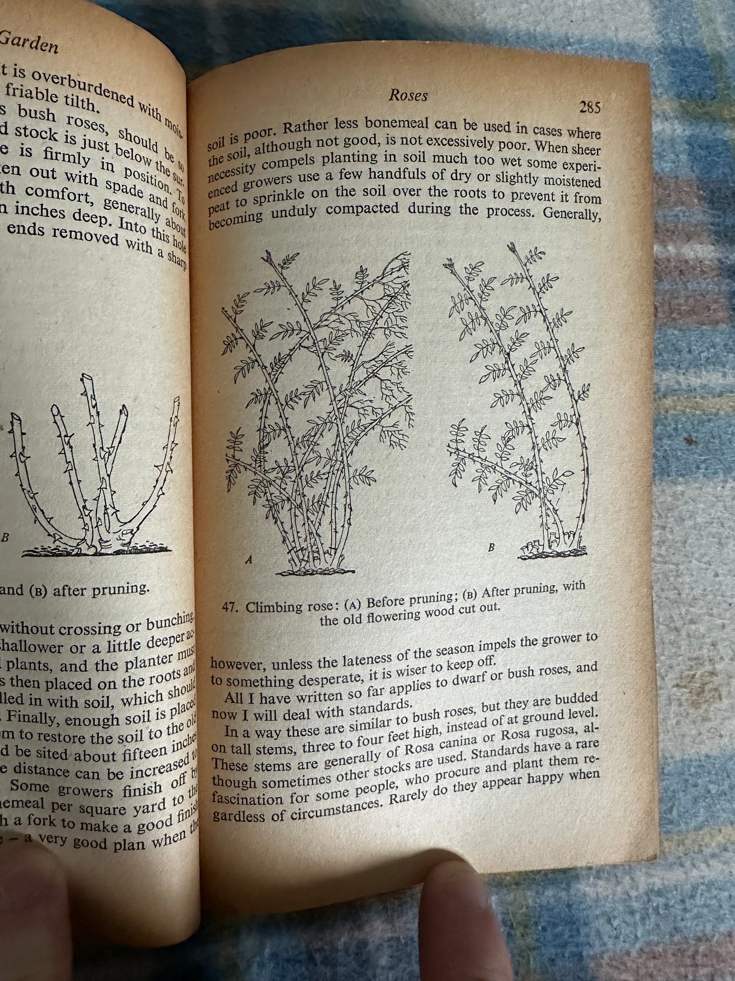1953 The Flower Garden -E.R.Janes(Penguin Handbook)
